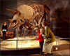 dinofossils.gif